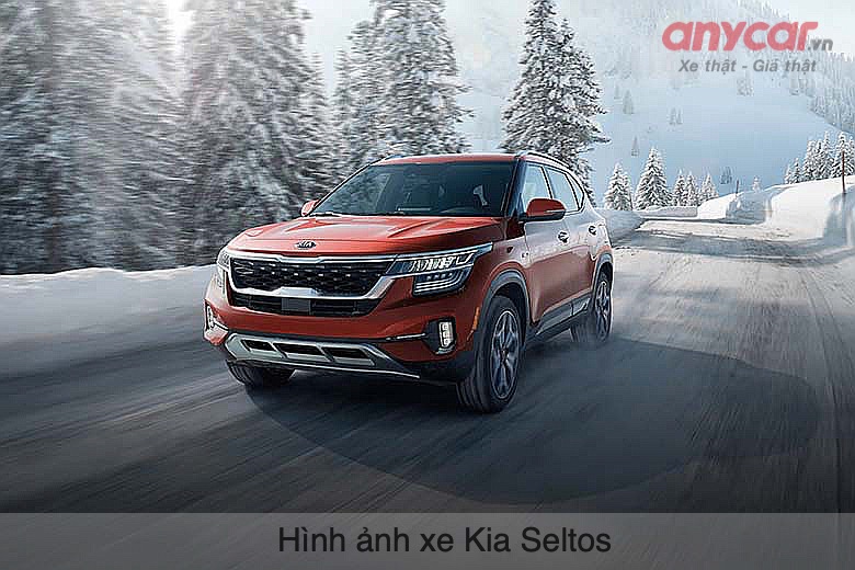KIA Seltos là mẫu xe bán chạy nhất phân khúc SUV hạng B